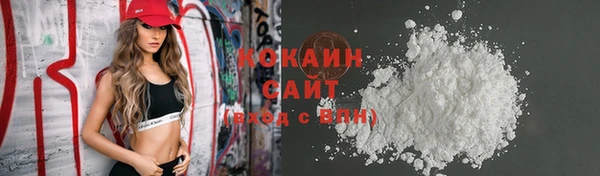 прущая мука Ельня